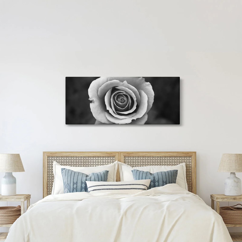 Egy rózsa képe (120x50 cm)
