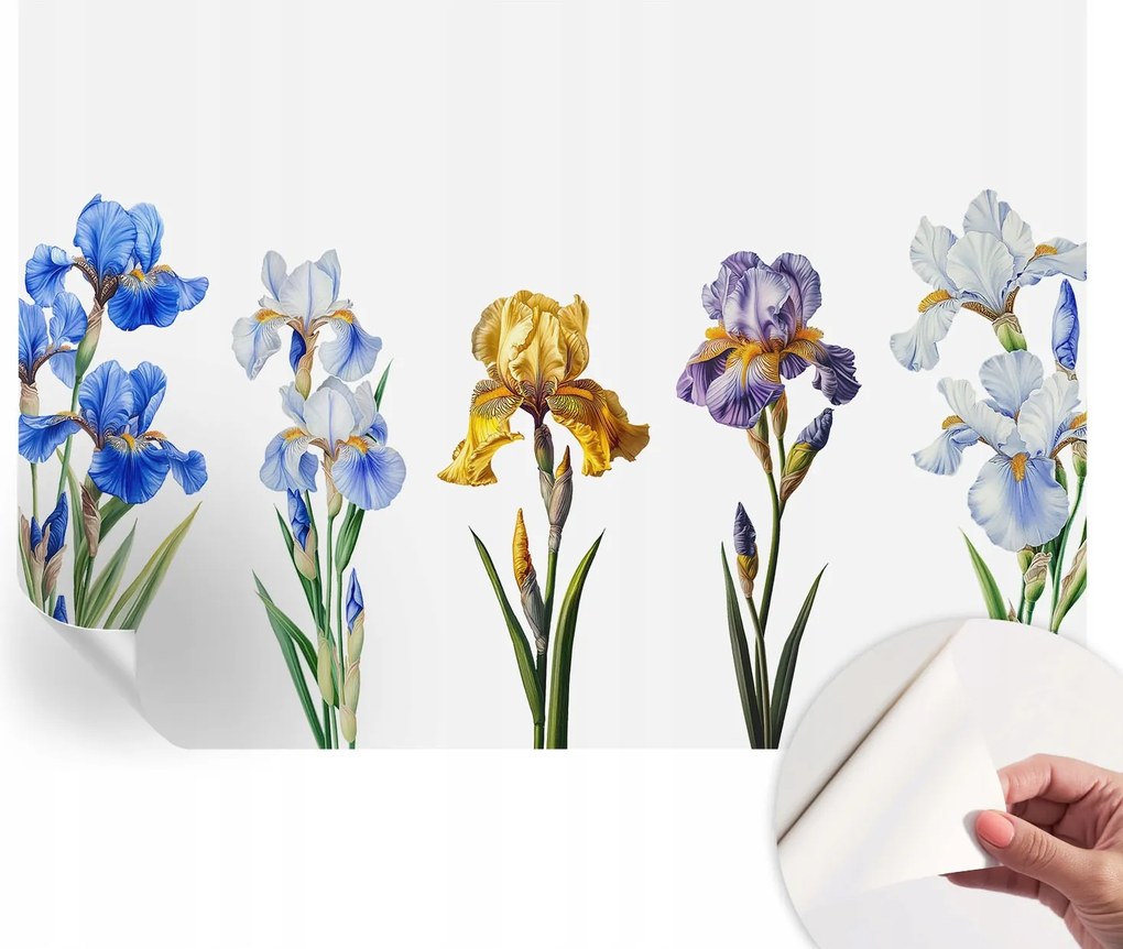 Fotótapéta Fali tapéta Hálószobába és Nappaliba Írisz virágok 312x219 cm