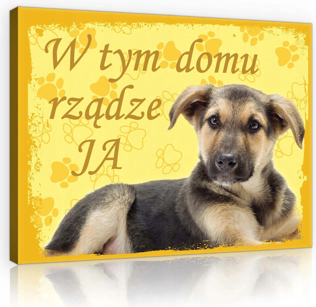 Vászonkép 100x75 Kiskutya kutyus aranyos kis kedvenc öröm otthonos mancs sárga
