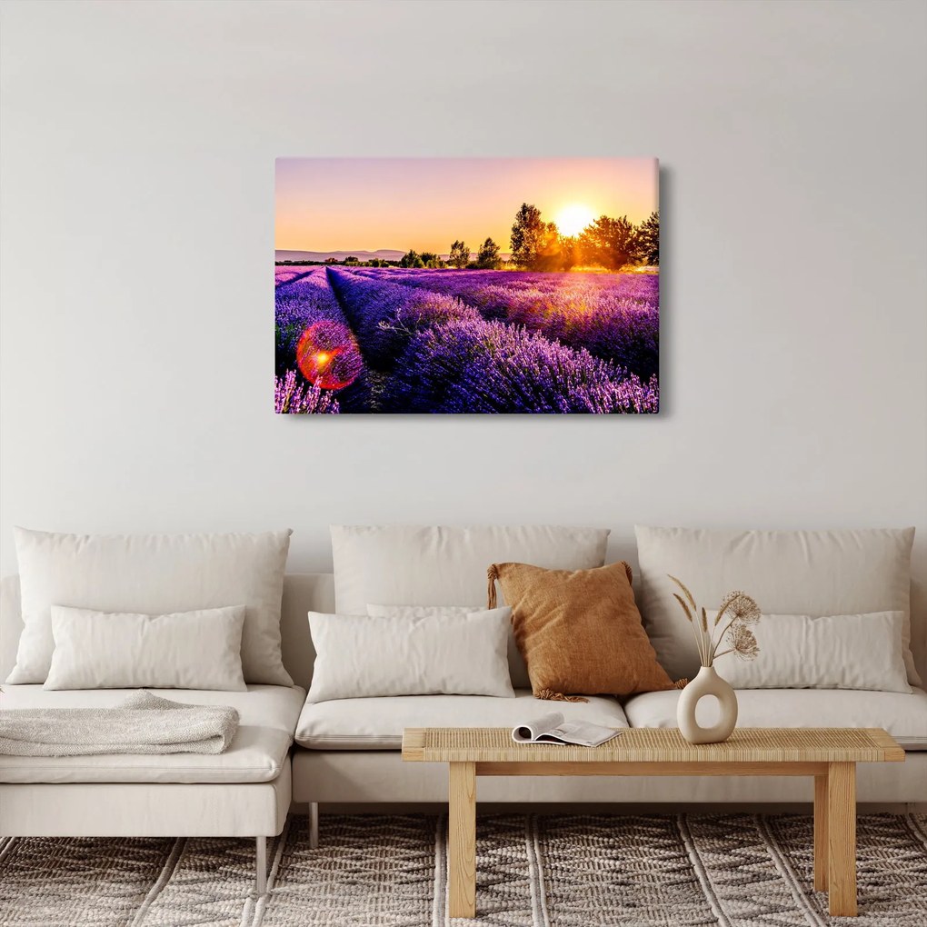A levendula mező képe, Provence (90x60 cm)