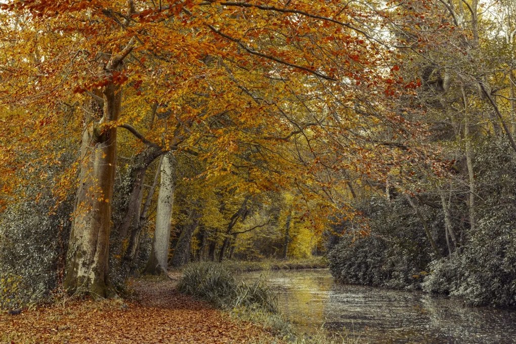 Poszter 91,5x61cm Ösvény a csatornánál, Assaf Frank