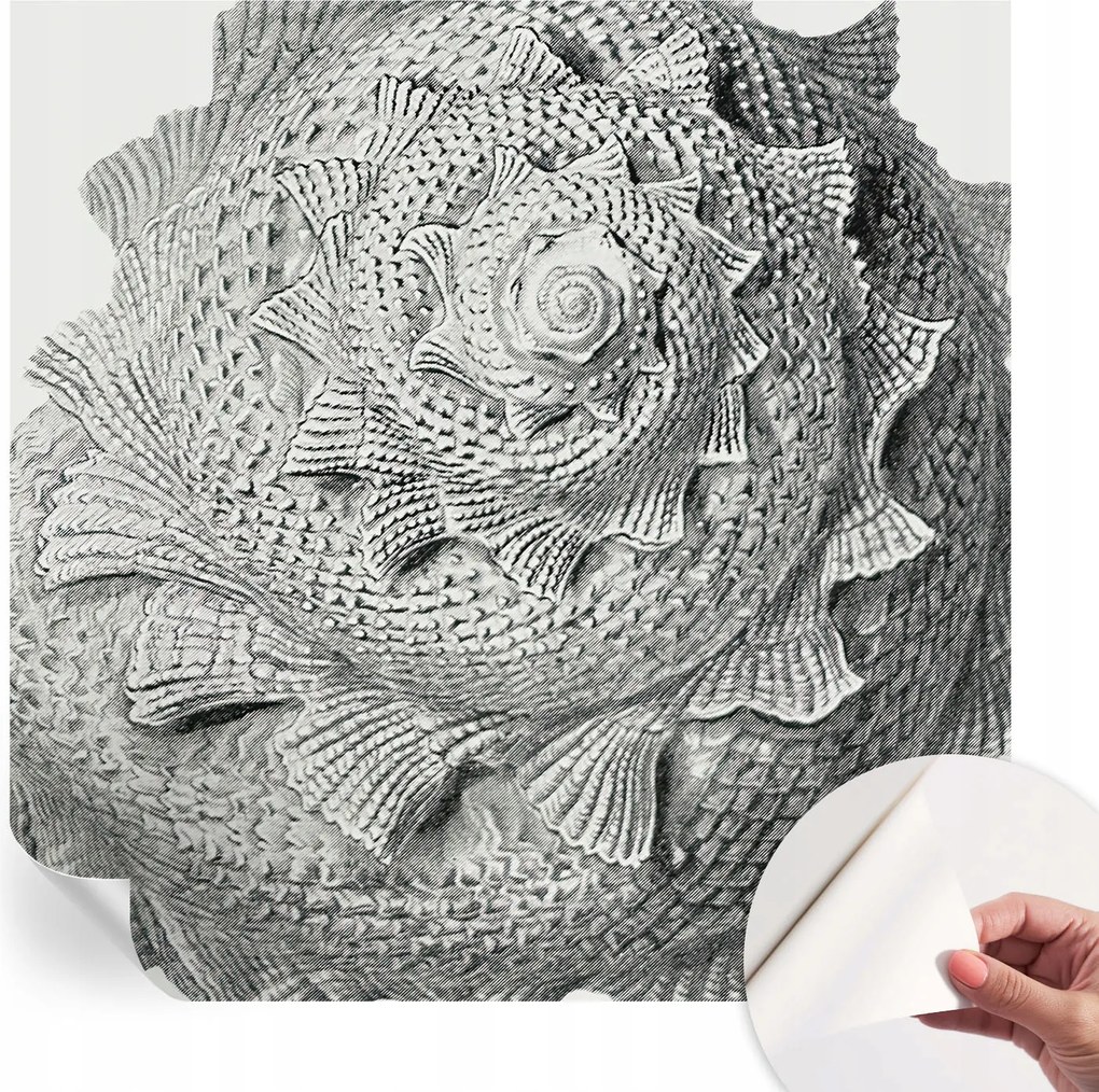 Dekoratív öntapadós fotótapéta Hálószobába A természet művészete 250x250 cm