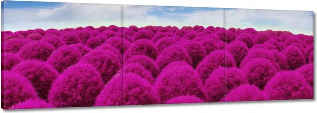 Festmények 120x40 Kifejező rét Tájkép