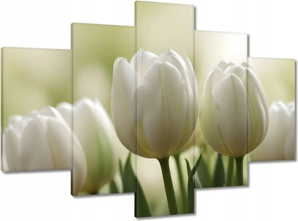 Vászonkép 150x105 Fehér tulipánok