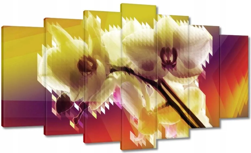 Vászonkép 140x80 Orchidea Gyönyörű virágok