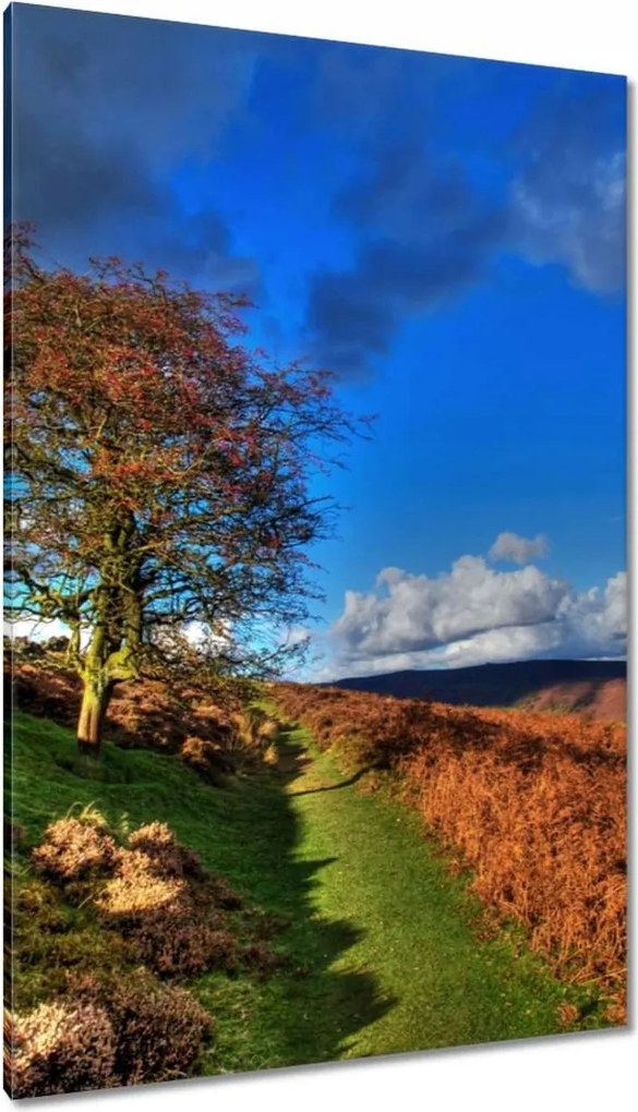 Vászonkép 80x120 Fa a láthatáron