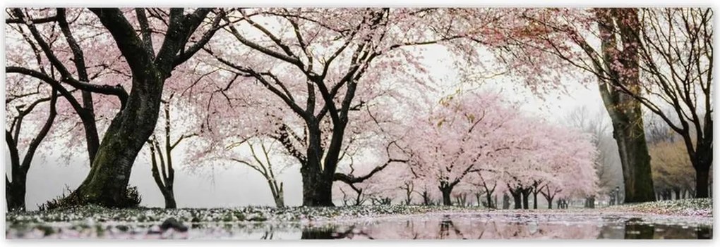 Poszterek 200x66 Fa Kilátás