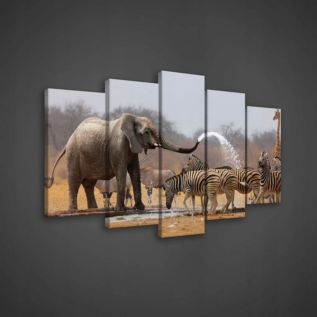 Vászonkép 100x60 Afrika Szafari Vadállatok Elefánt Zebra Zsiráf Akác