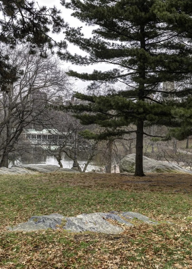 Poszter 50x70cm Central Park, New York, Assaf Frank