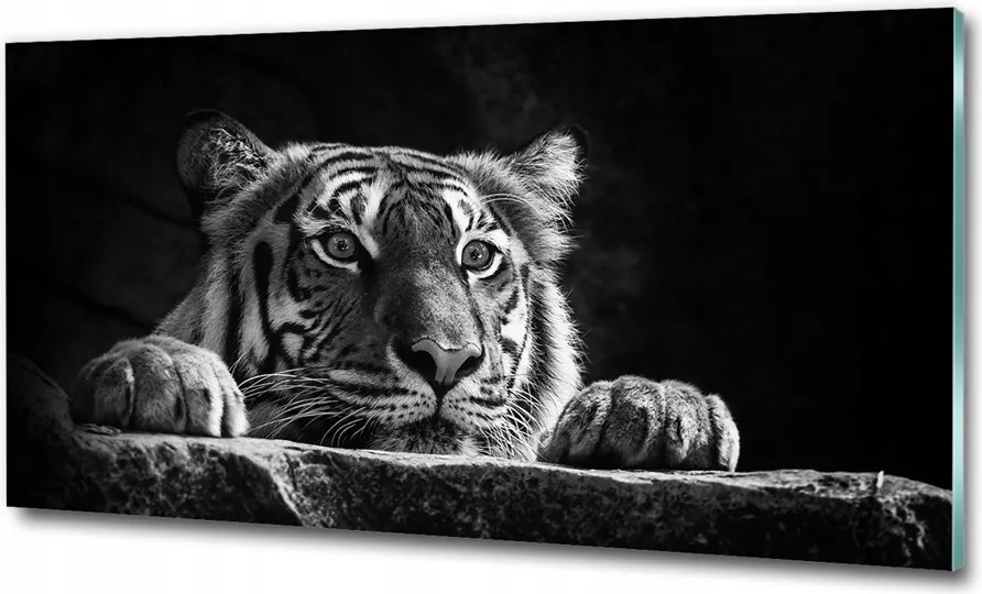 Fotó-kép fotó edzett üveg Tigris 125x50