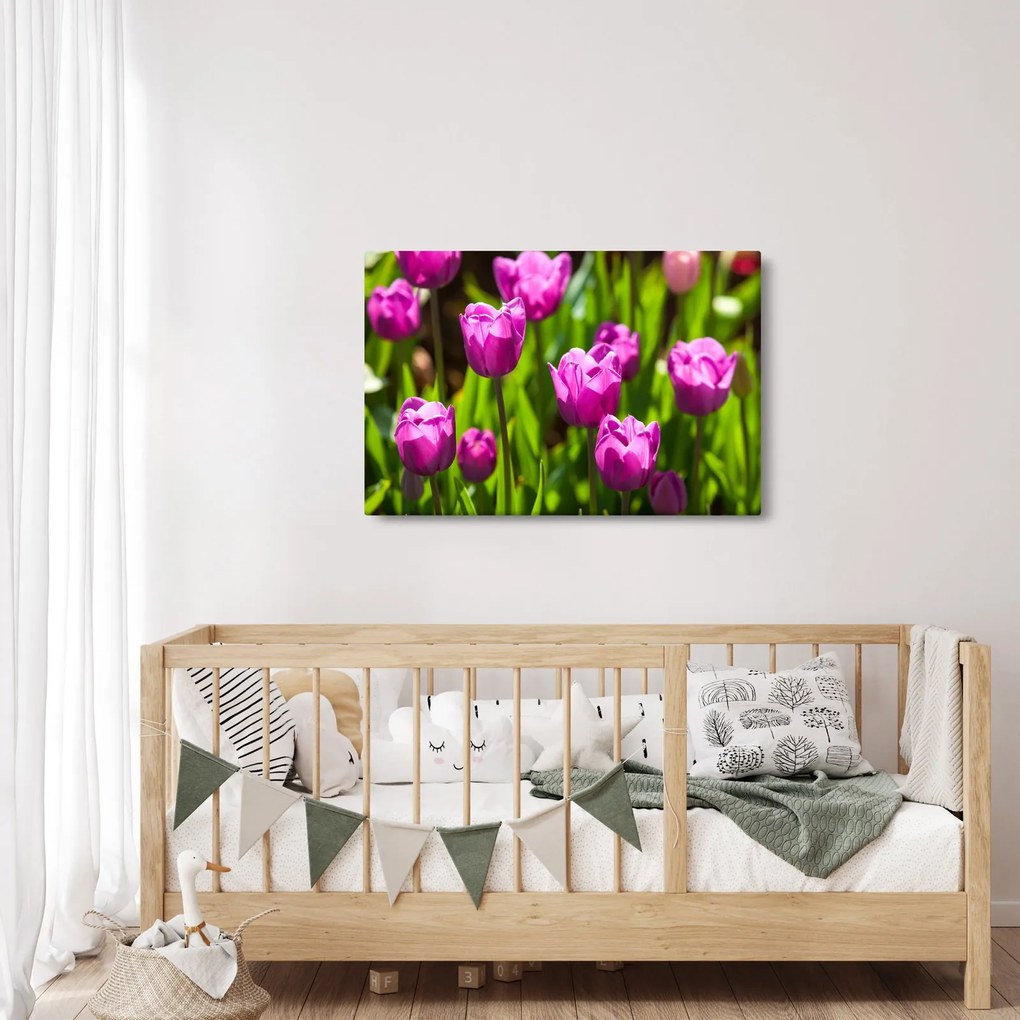 Tulipánok a réten képe (90x60 cm)