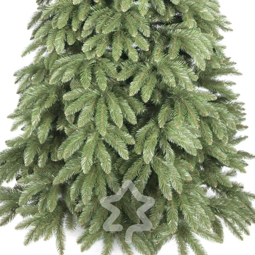 Kaukázusi lucfenyő 2D 220 cm