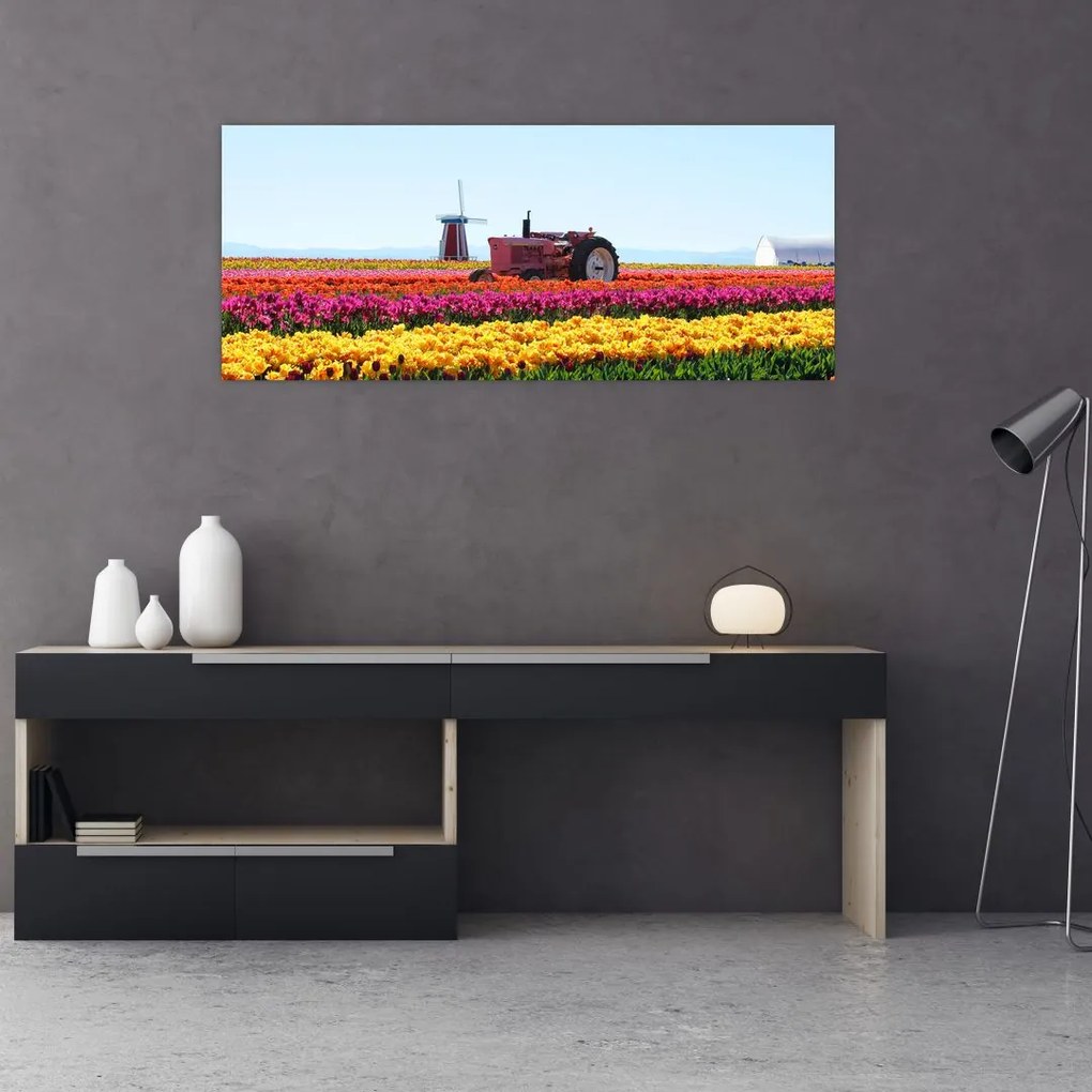 Tulipánfarm képe (120x50 cm)