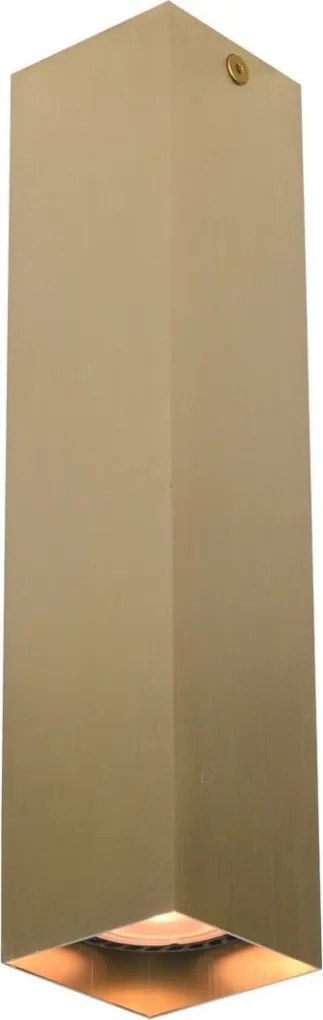 Italux Ander CLN-28394-L-GD Felületi spotlámpa 1x10W/GU10 IP20