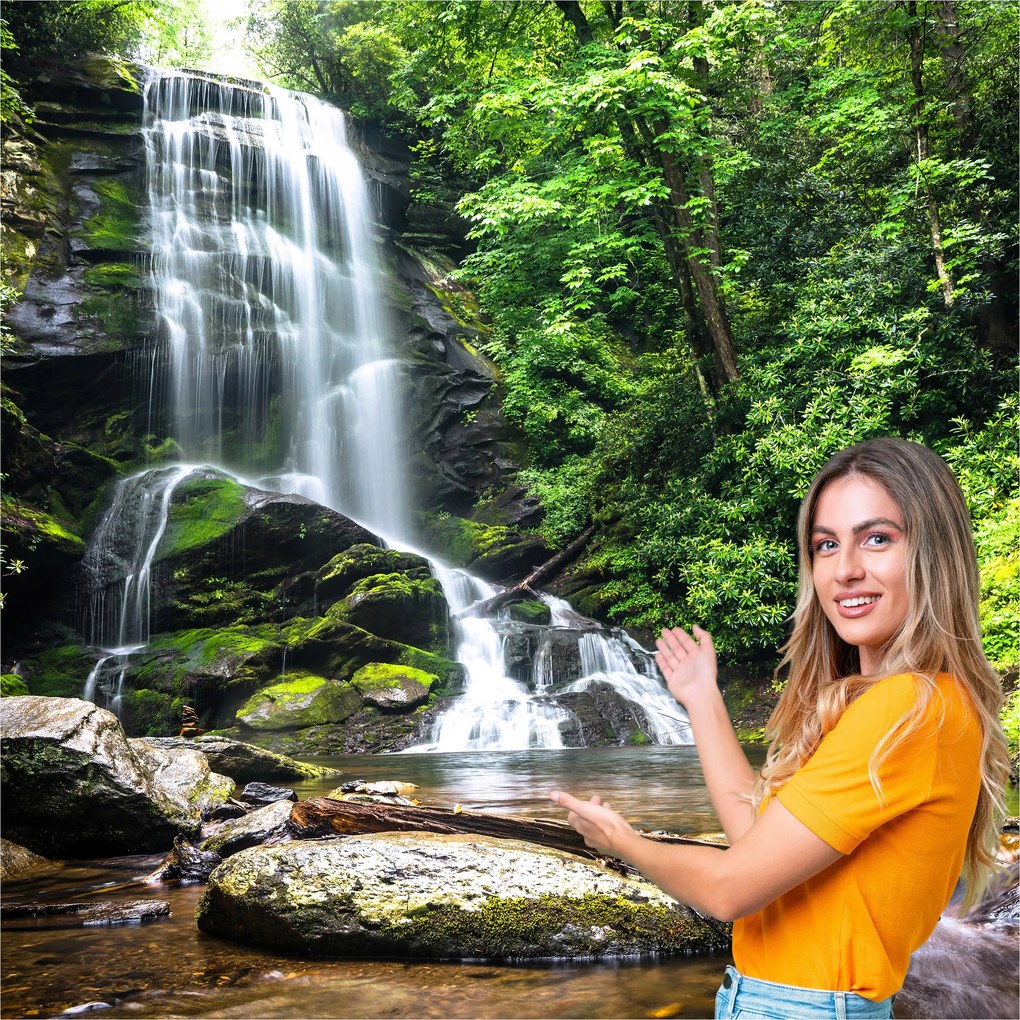 3D fotótapéta Nappali Hálószoba Vízesés Erdő Természet Tájkép 294x260 WLNK04F