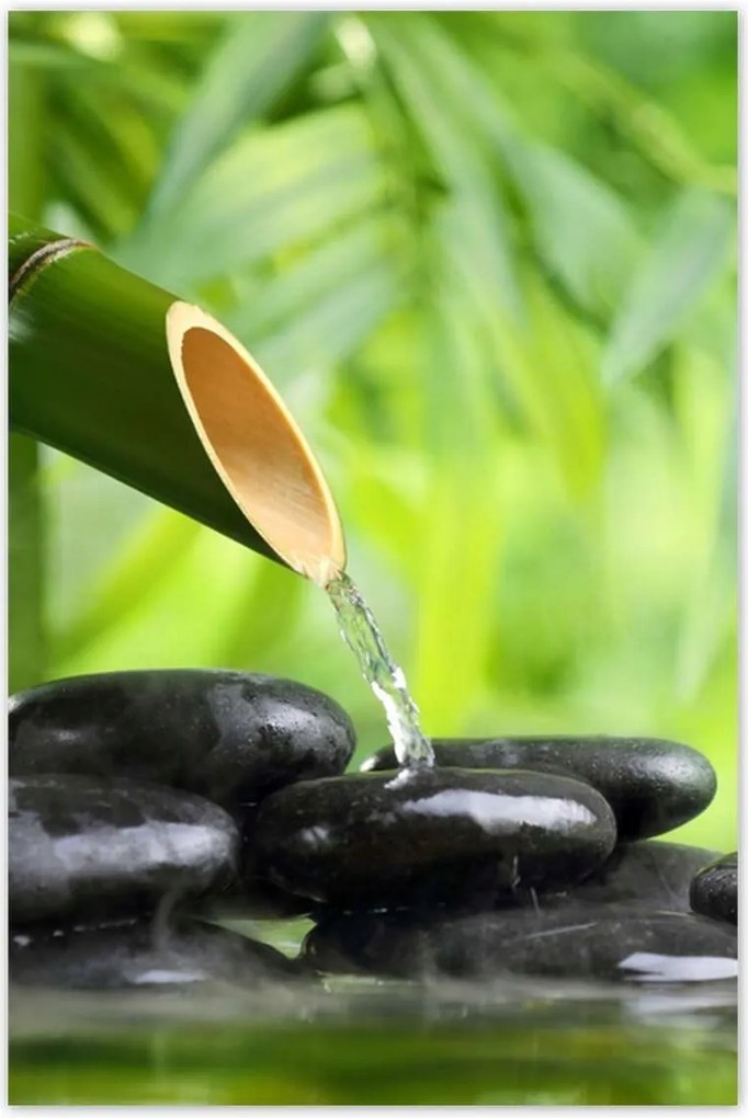 Poszterek 80x120 Sanus per aquam Forrás