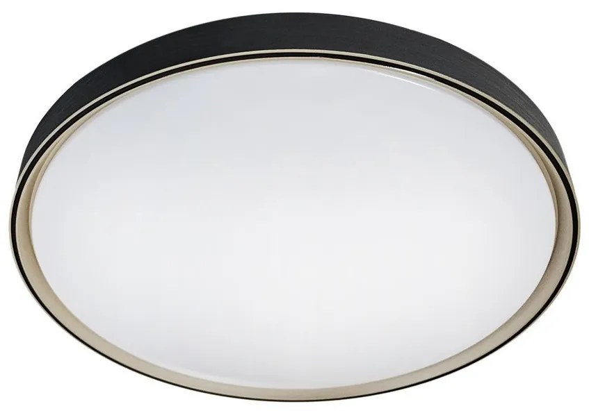 LED Dimmelhető mennyezeti lámpa EBRO LED/36W/230V 2700-6500K + távirányító