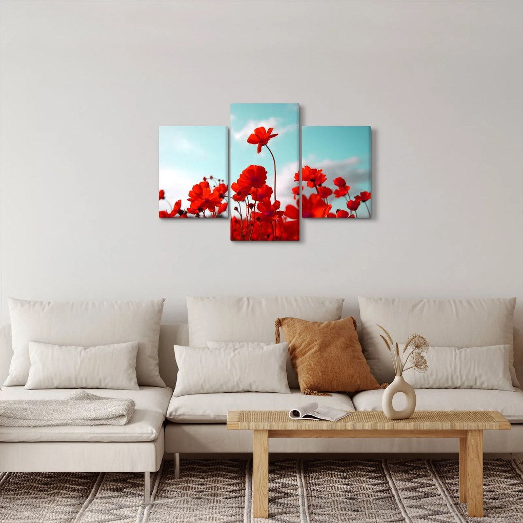 Fényes piros virágokkal rendelkező mező képe (90x60 cm)