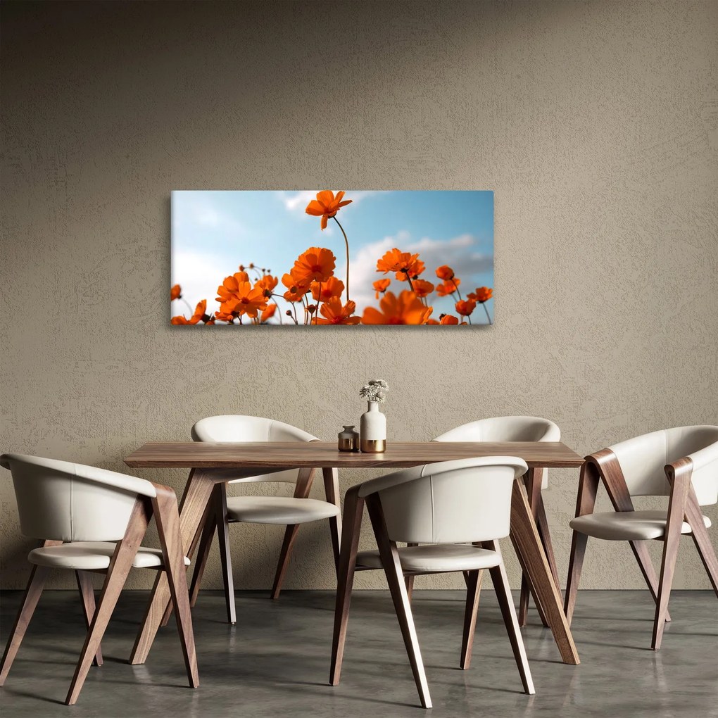 Kép - Réti virágok (120x50 cm)