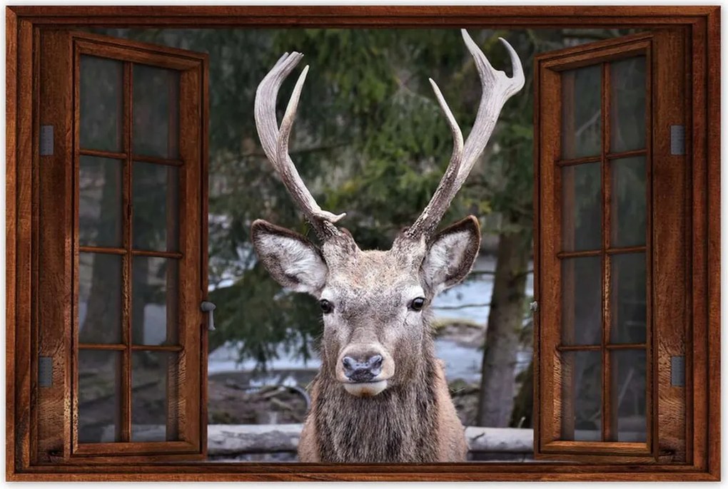 Poszter 60x40 Szarvas agancs