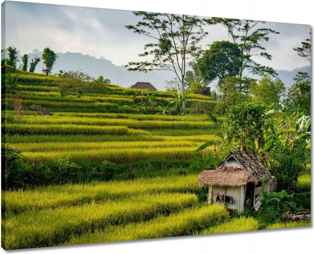 Vászonkép 70x50 Tájkép Látvány