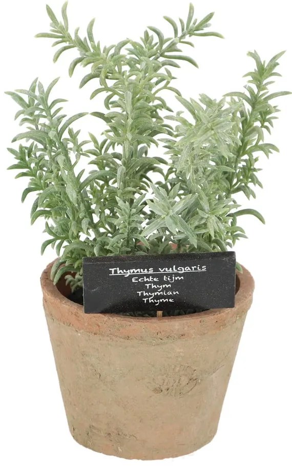 Műnövény (magasság 21,5 cm) Thyme – Esschert Design