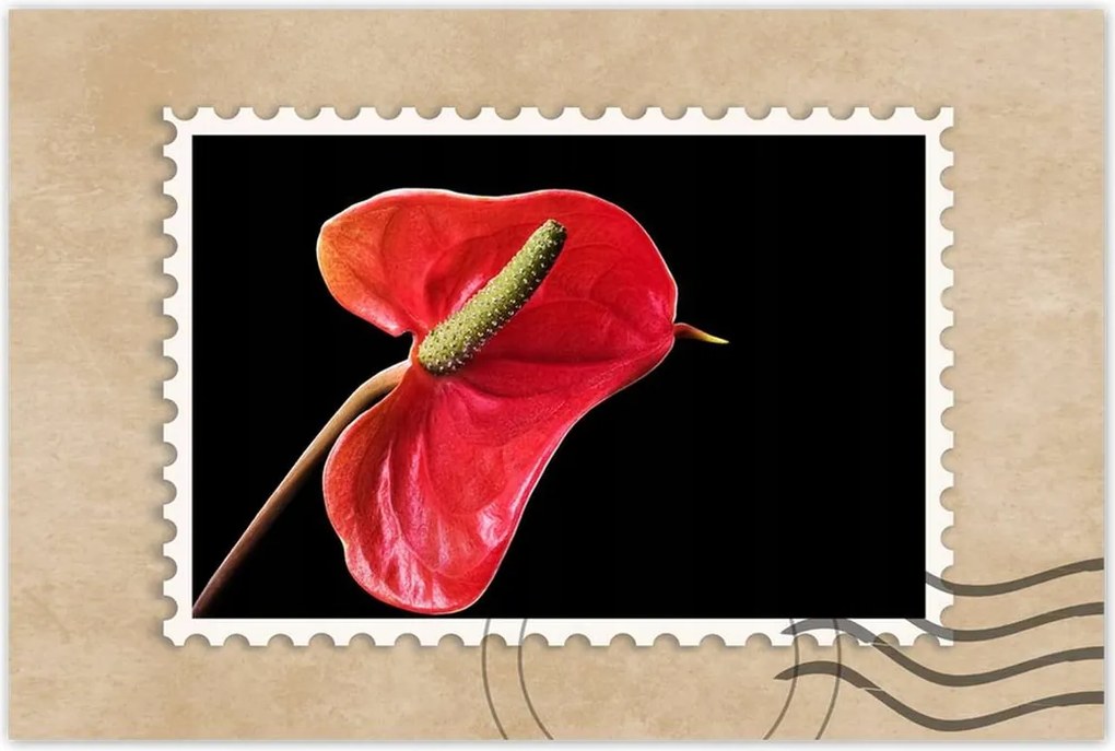 Poszterek 120x80 Piros virág Anturium