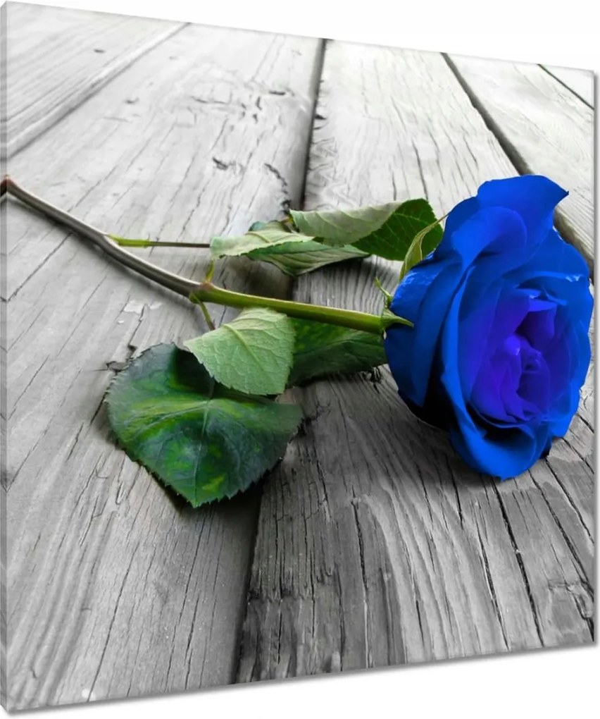 Vászonkép 90x90 Kék rózsa a deszkákon