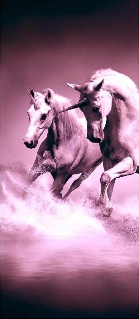 Matrica Fotótapéta Unikornisok az éjszaka sötétjében víz mágia háttér 91x211