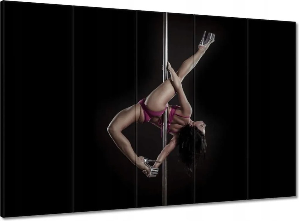Vászonkép 100x70 Szenvedélyes rúdtánc