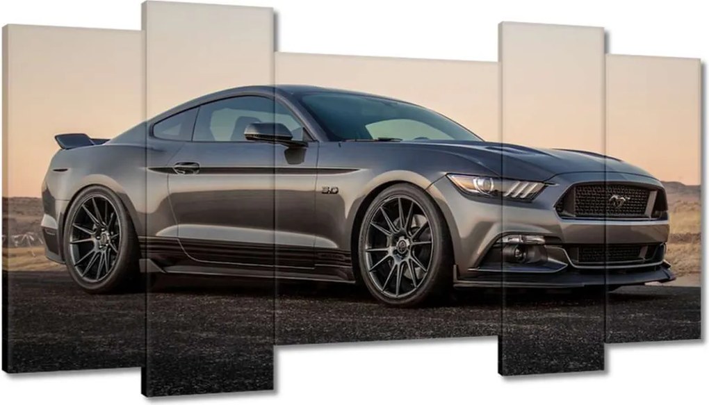 Képek 120x65 Ford Mustang made in Usa