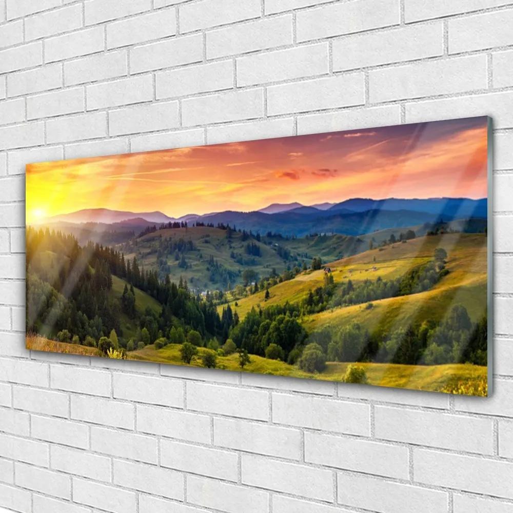 Modern üvegkép West Meadow Landscape 125x50 cm
