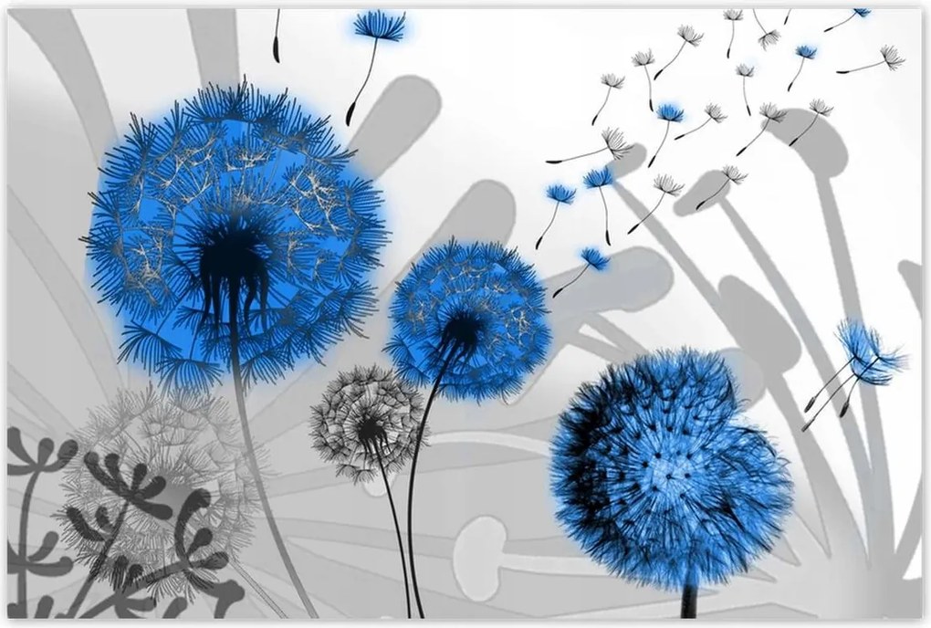 Poszterek 120x80 Kék pitypangok