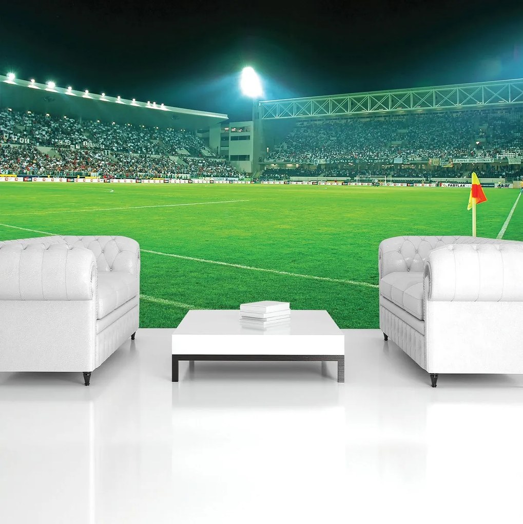 Fotótapéta - Futballpálya (152,5x104 cm)