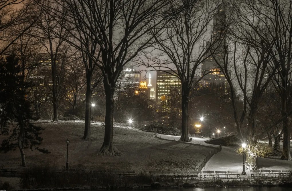 Poszter 91,5x60cm Central Park éjszaka, Assaf Frank
