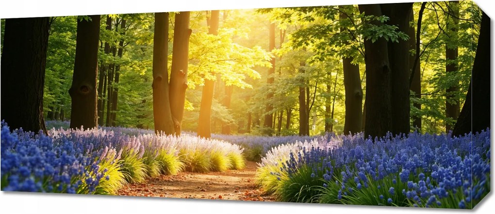 Vászonkép 70x30cm Hálószoba Nappaliba Panoráma Erdei ösvény