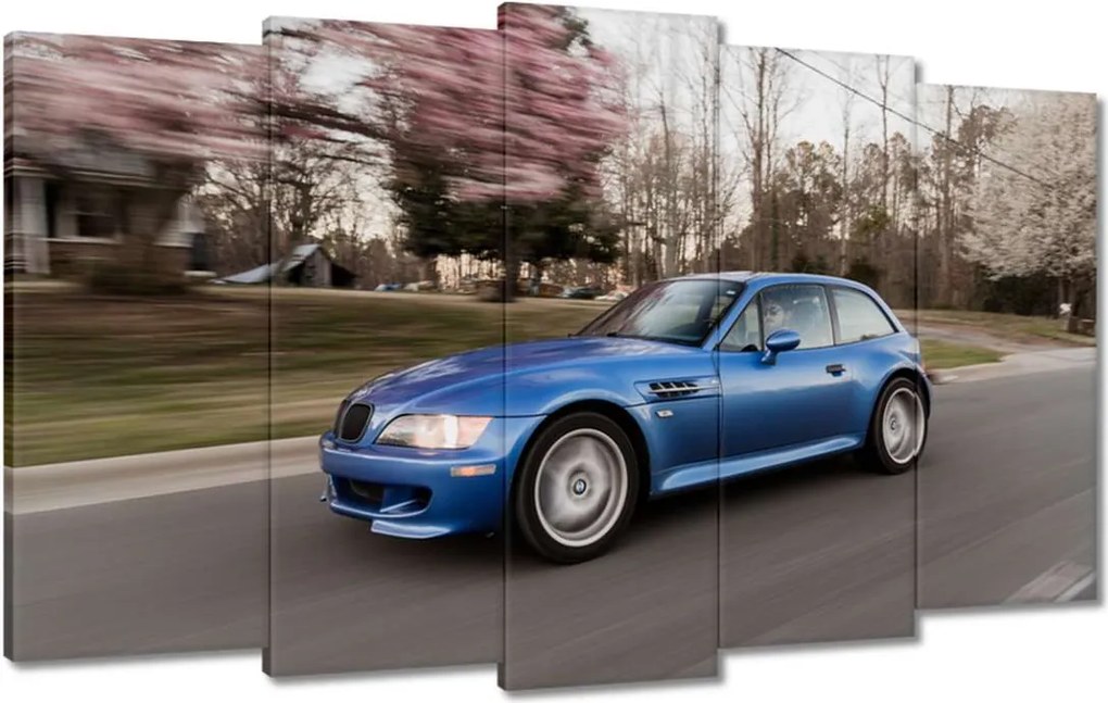 Képek 100x60 Kék Bmw autó