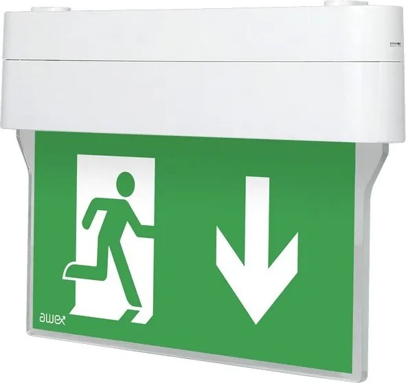 Led vészhelyzeti lámpatest, Arrow N kétfunkciós 1W 6000K 1h PU31,PU41, fehér, I