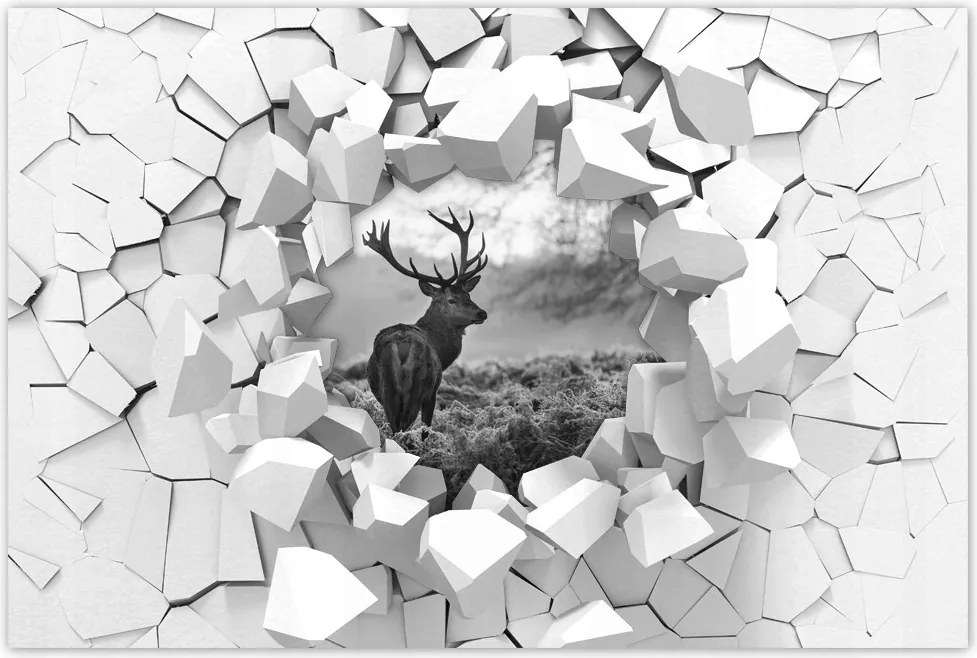 Poszterek 90x60 Szarvas a rikkancson