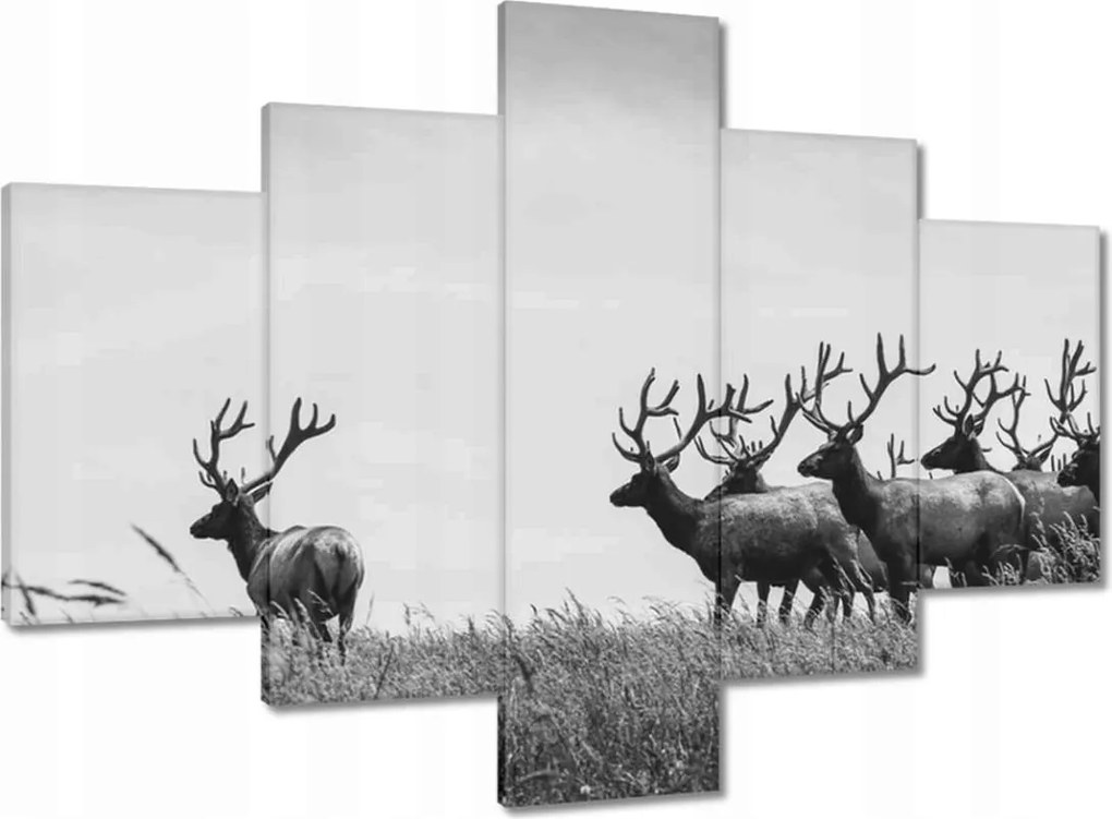 Vászonkép 100x70 Szarvascsorda Felszarvazott