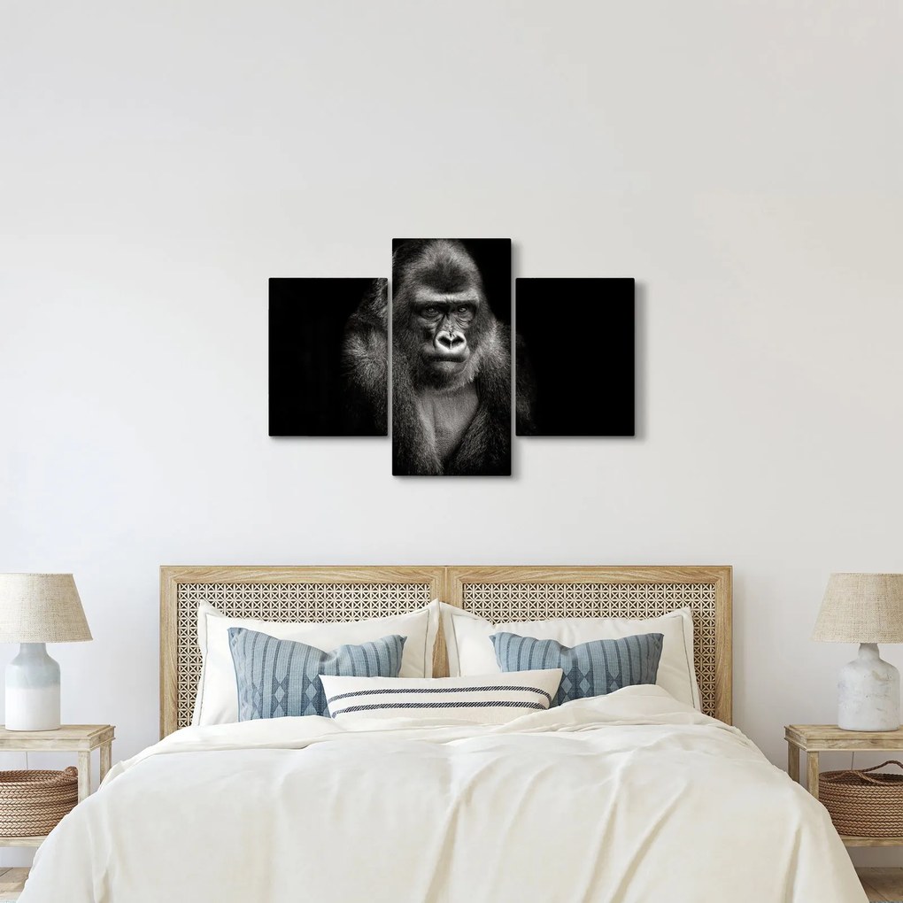 Kép - Gorilla (90x60 cm)