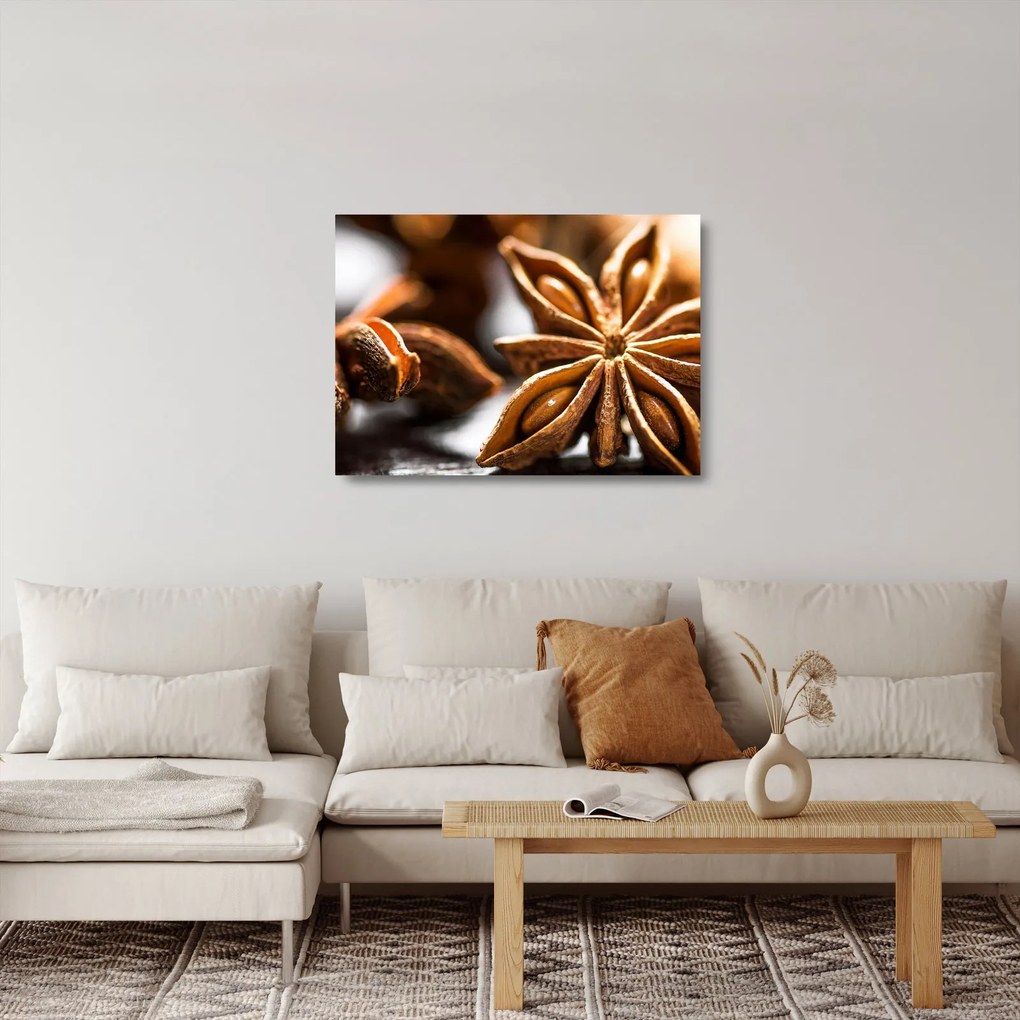 Üveg kép - Anise (70x50 cm)