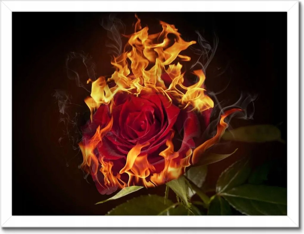 Poszterek keretben 40x30 Vörös lángoló rózsa