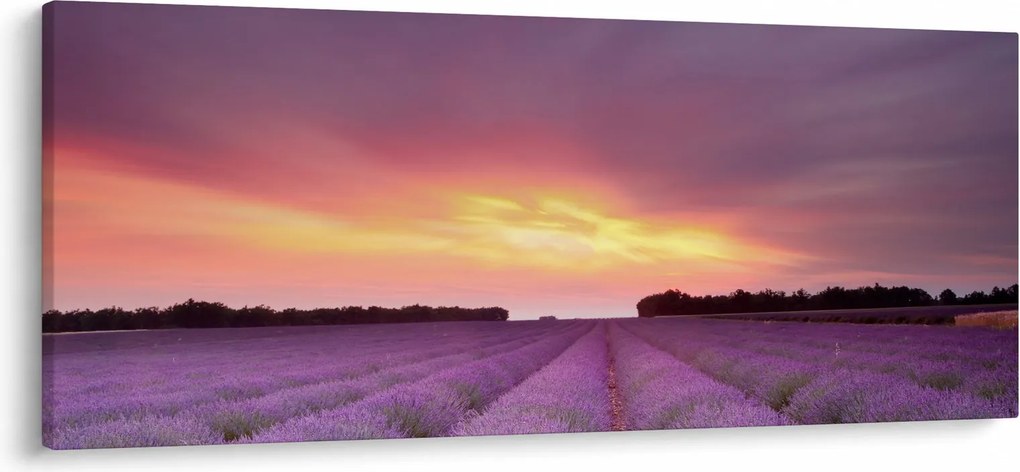 Kép - Levendula mező (120x50 cm)