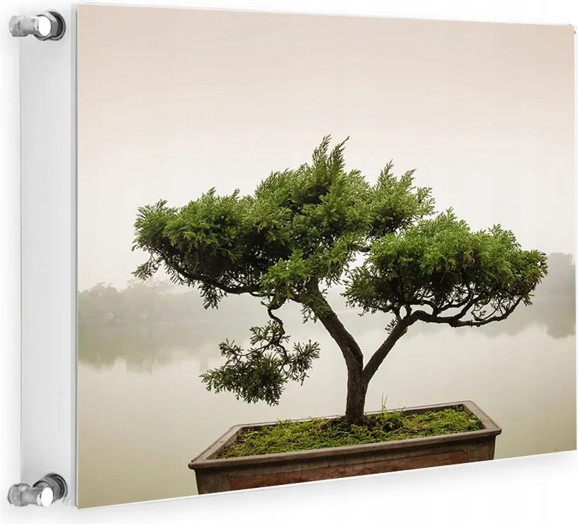 Mágneses Radiátorvédő 60x60 Fa Fotótapéta