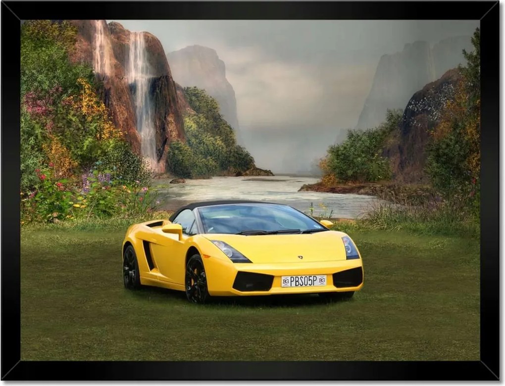 Poszterek keretben 40x30 Ayto a varázslatos réten