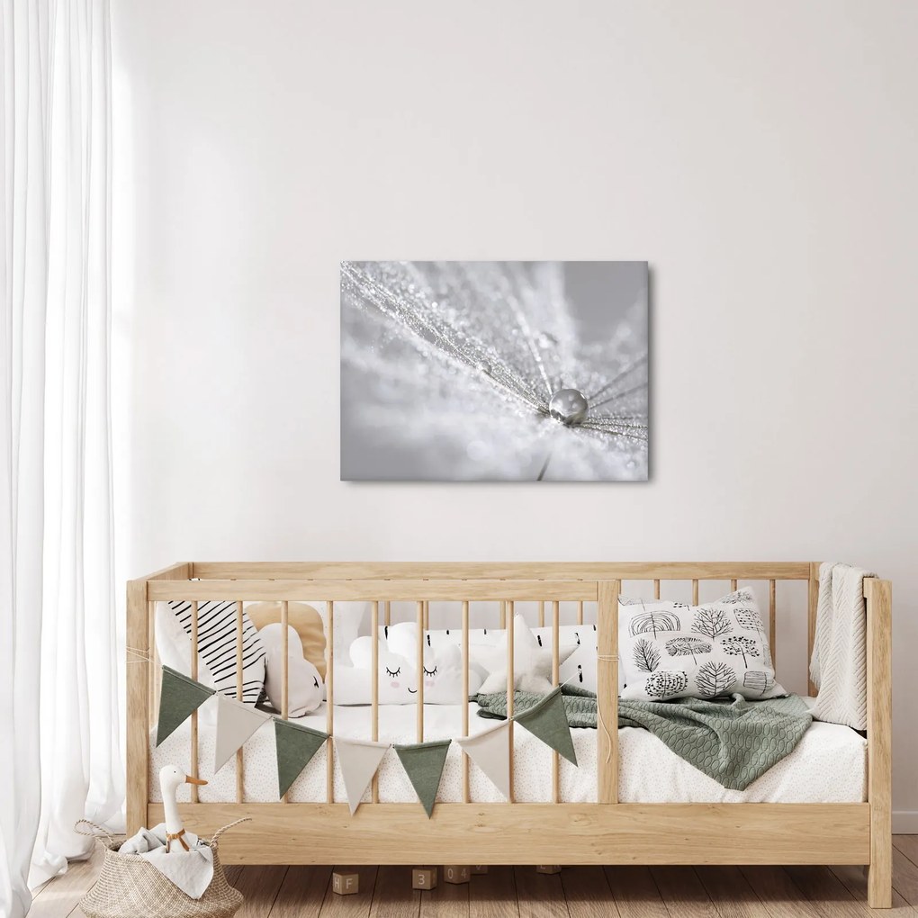 Kép - Egy csepp víz (70x50 cm)