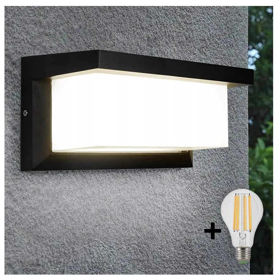 LED Kültéri fali lámpa NEELY 1xE27/9W/230V 4000K IP54 fekete