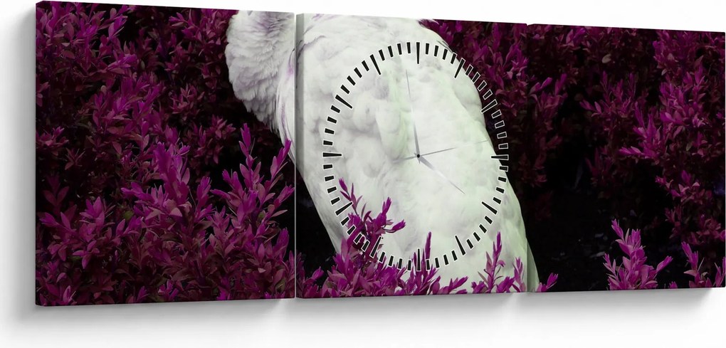 Kép - Fehér páva (órával) (90x30 cm)