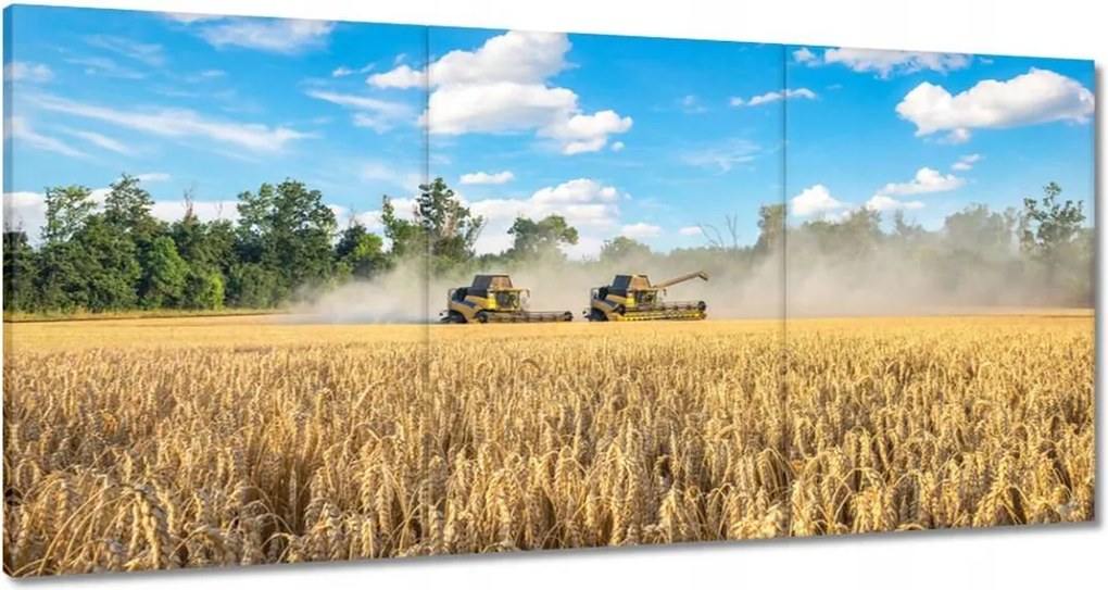 Vászonkép 180x90 Két fűnyíró kombájn